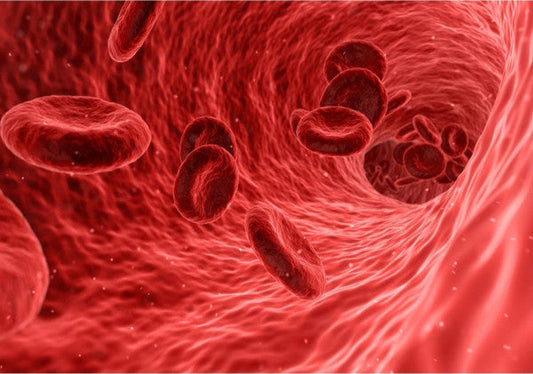 How Tocotrienol Fight Against Leukemia Cancer Cells?