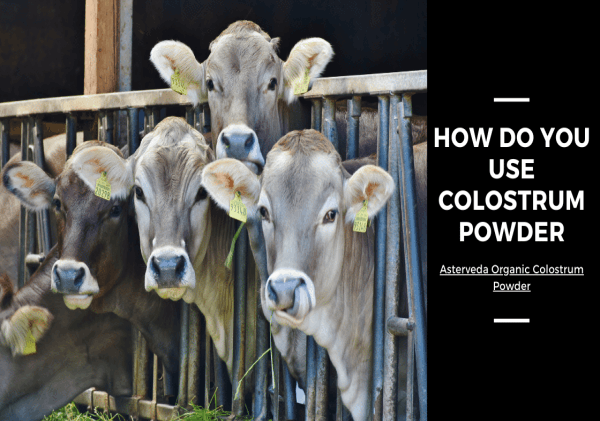 HOW DO YOU USE COLOSTRUM POWDER?