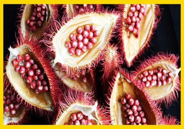 ALL ABOUT TOCOTRIENOLS VITAMIN E AND THEIR BENEFITS