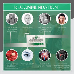 Lypo-Spheric R-Alpha Lipoic Acid | Liposomal Technology From Livon-Labs USA - 30 Sachets