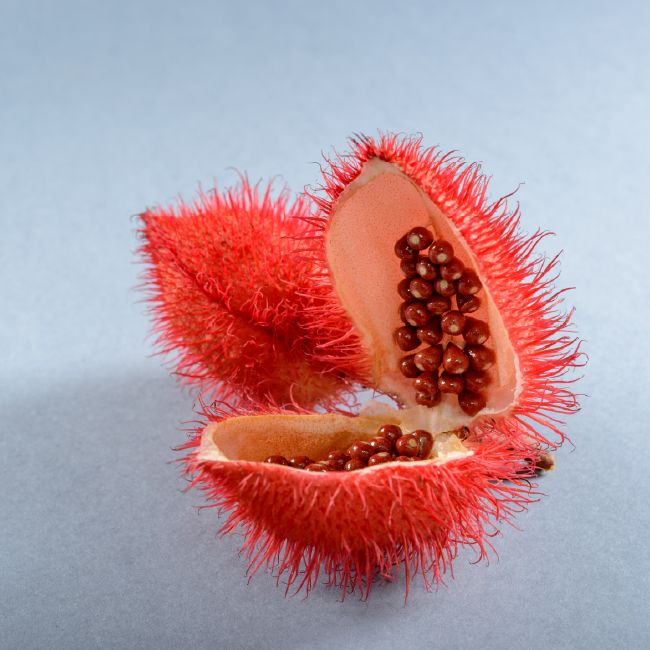 Annatto Seeds