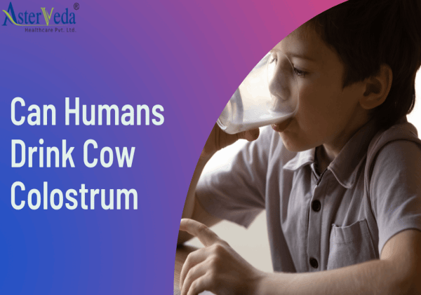 CAN HUMANS DRINK COW COLOSTRUM?