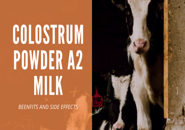 HOW COLOSTRUM POWDER IS BENEFICIAL FOR HUMAN HEALTH AND ITS SIDE EFFECTS